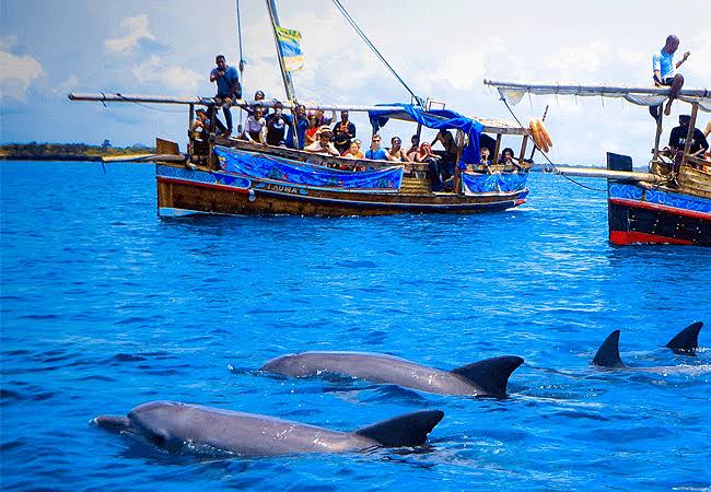 Kisite Marine Park